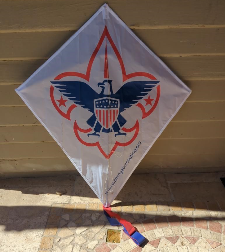 GGAC BSA picture of a kite with the BSA logo